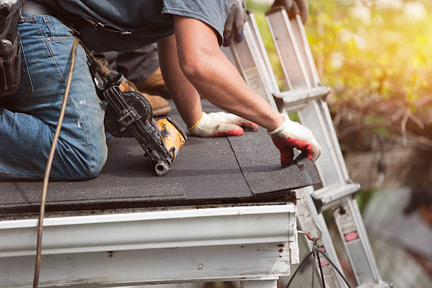 Best Metal Roofing Contractor  in Terra Bella, CA